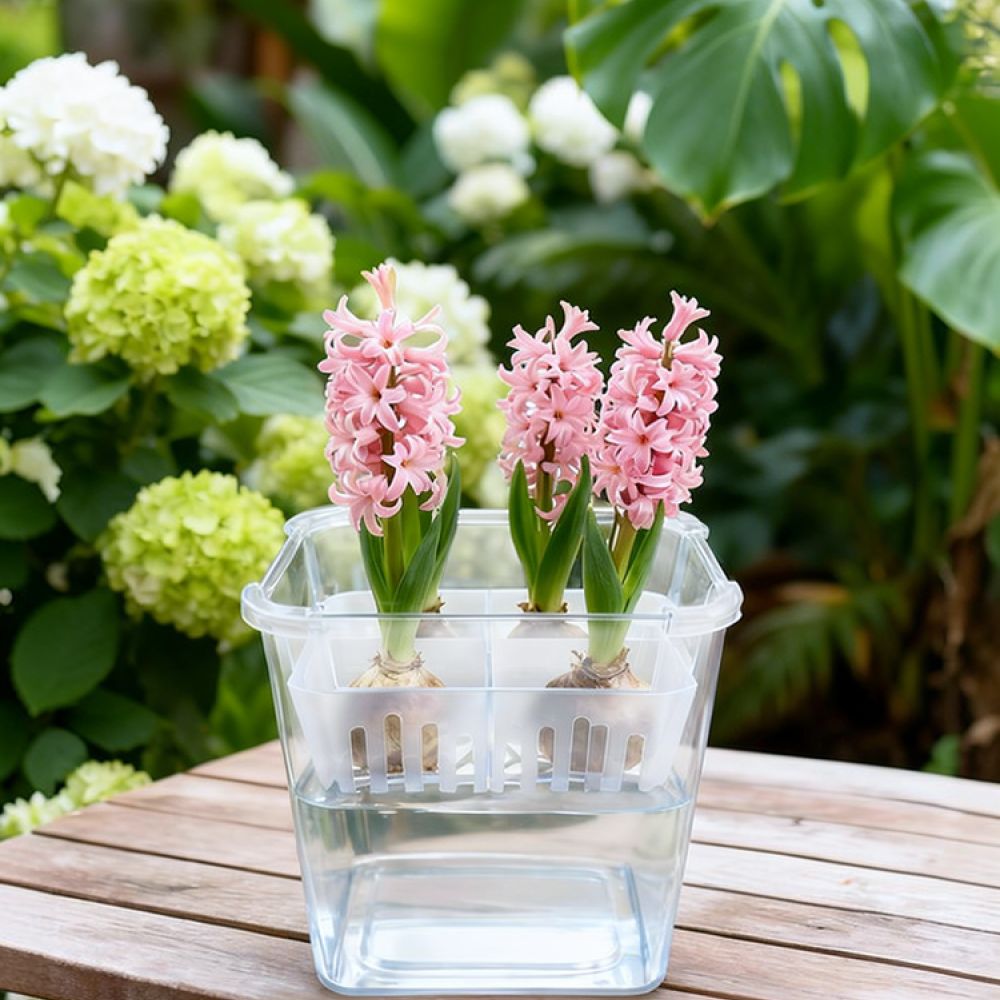 Vase Decor - กระถางไฮโดรโปนิกส์สำหรับปลูกทิวลิปและลิลลี่ กระถางใสพร้อมตะกร้าปลูก ระบายอากาศได้ดี อุปกรณ์ปลูกต้นไม้ในร่มสำหรับสำนักงาน